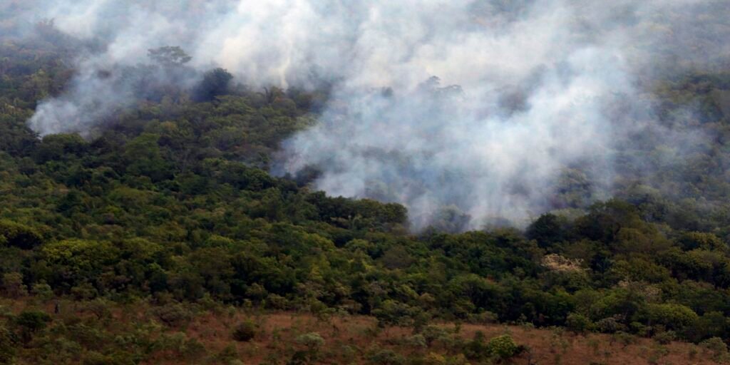 brasil-queimou-mais-de-185-milhoes-de-hectares-de-biomas-em-38-anos