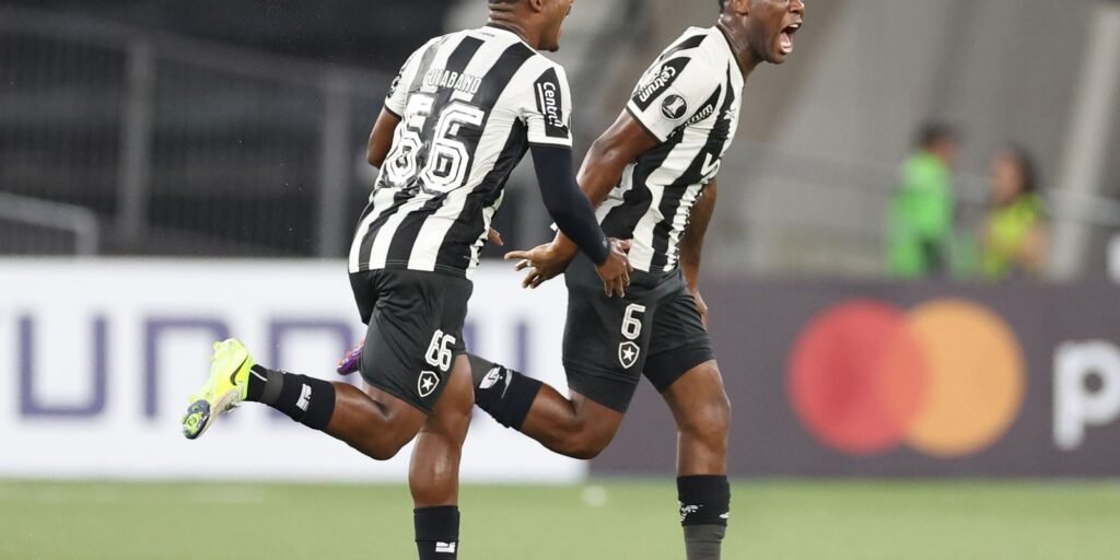botafogo-vence-primeira-na-copa-libertadores