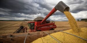 apos-primeiras-colheitas,-conab-confirma-estimativa-de-safra-recorde