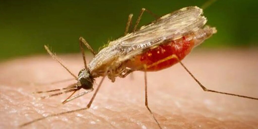 falta-de-diagnostico-e-obstaculo-para-eliminacao-da-malaria-no-brasil