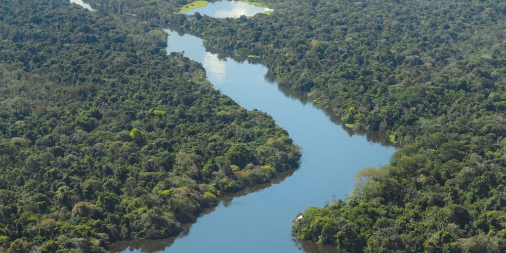 cop30:-museu-goeldi-promove-ciclo-de-debates-sobre-a-amazonia