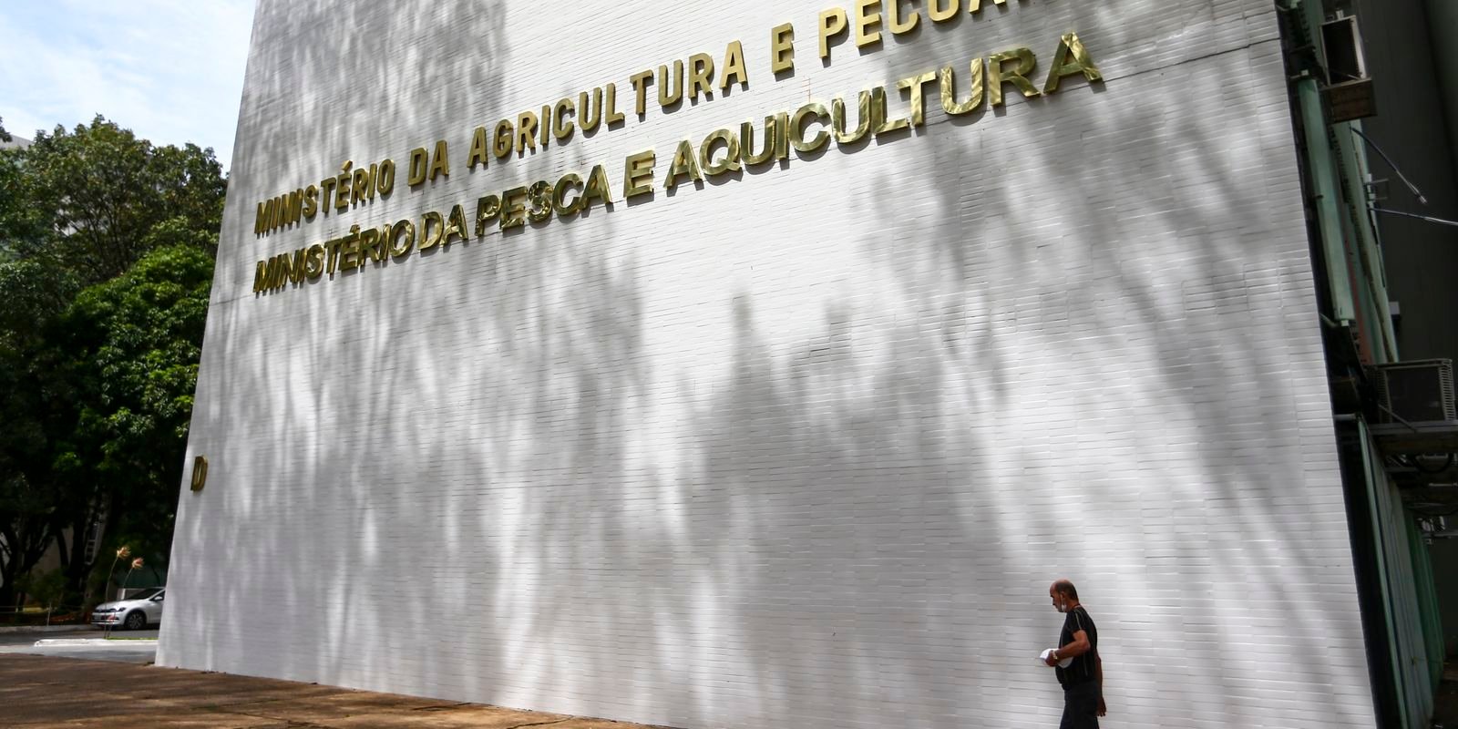 sete-casos-de-doencas-respiratorias-em-aves-sao-investigados-no-pais