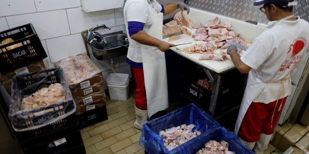 prazo-de-28-dias-para-brasil-ficar-livre-da-gripe-aviaria-comeca-hoje