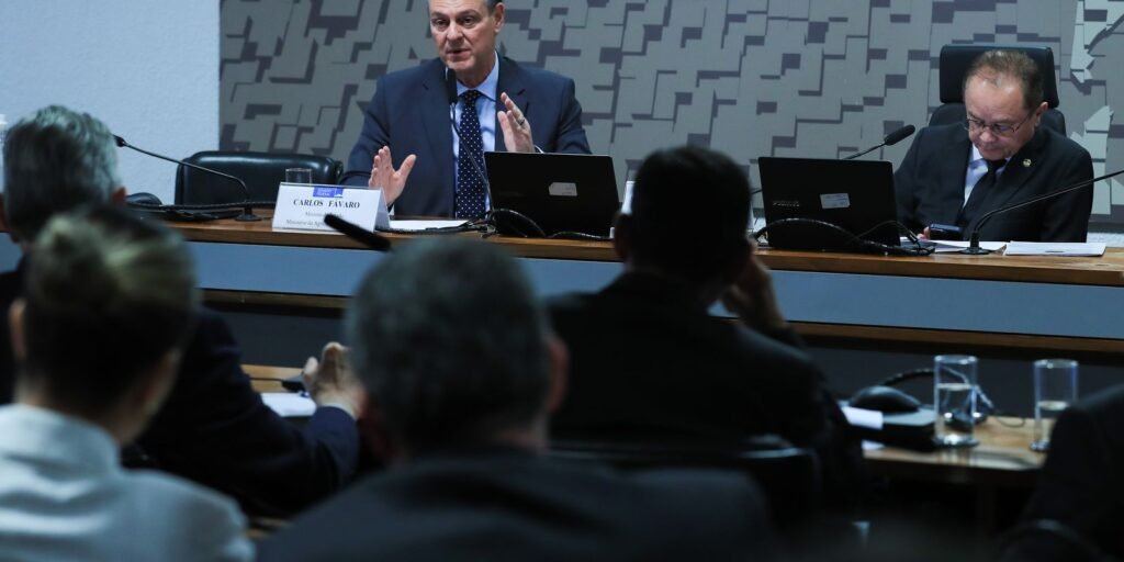 ministro-da-agricultura-anuncia-que-foco-de-gripe-aviaria-esta-contido