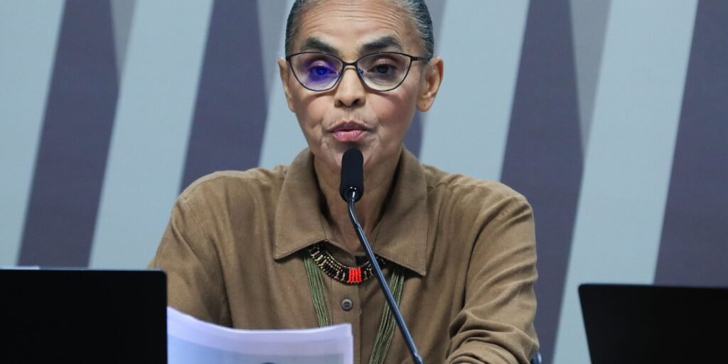 oposicao-a-protecao-ambiental-tenta-silenciar-marina,-diz-analista