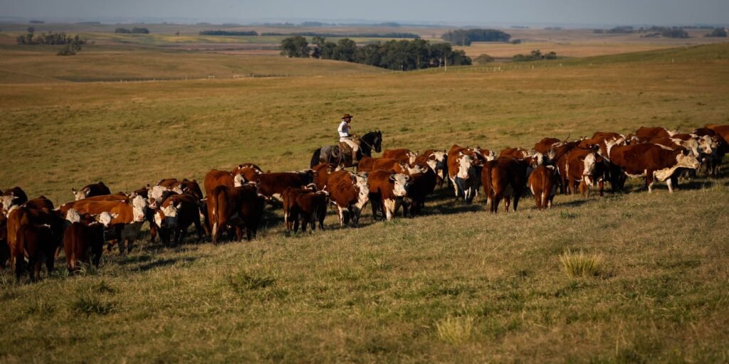 pib-cresce-1,4%-no-1o-trimestre-em-relacao-ao-4o-trimestre-de-2024