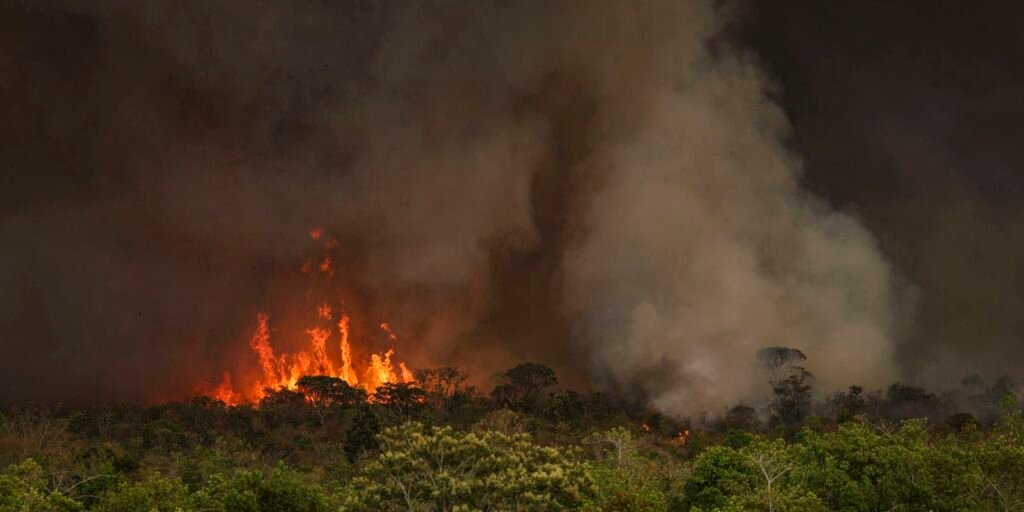 camara-aprova-aumento-de-punicao-a-quem-provocar-incendios-florestais