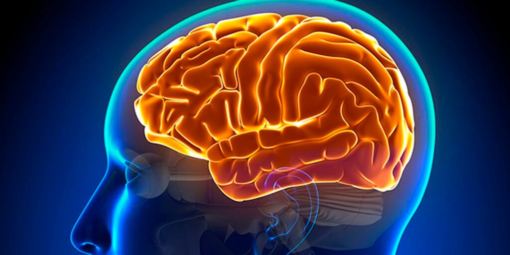 entenda-a-hidrocefalia-normobarica,-causa-da-cirurgia-de-chico-buarque