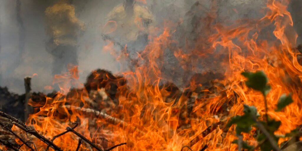 tocantins-registra-mais-de-mil-focos-de-queimadas-em-maio