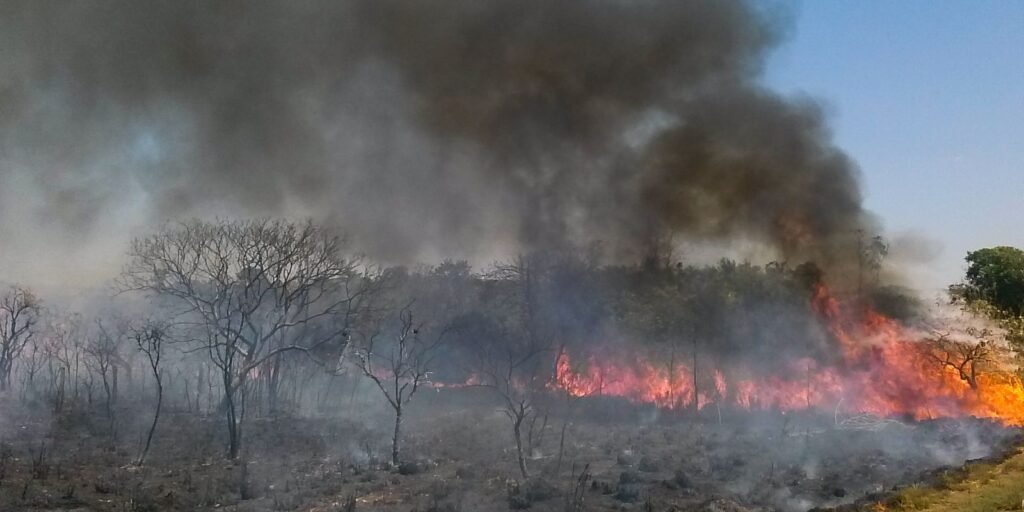 detran-tocantins-orienta-motoristas-sobre-incendios-perto-de-estradas