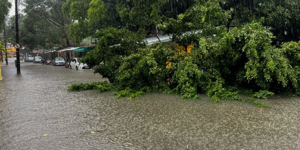 defesa-civil-alerta-e-lancado-no-nordeste-para-notificar-riscos