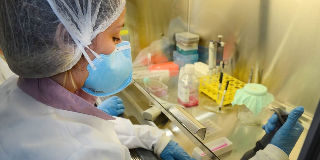 usp:-pesquisa-de-vacina-contra-zika-avanca-em-testes-com-camundongos