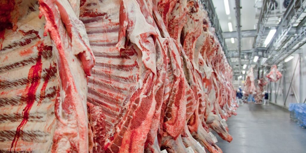 exportacao-de-carne-bovina-bate-recorde-em-mes-anterior-ao-tarifaco