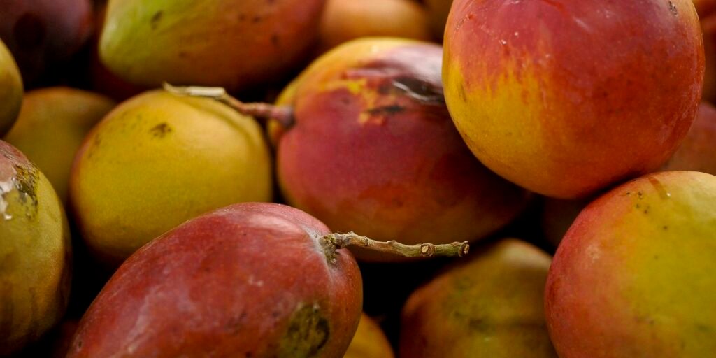 abrafrutas-apoia-plano-e-pede-atencao-a-pequenos-produtores