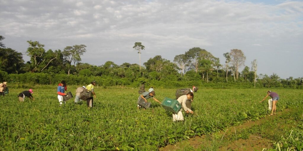 plano-safra:-bndes-atinge-r$-10-bilhoes-de-recursos-aprovados