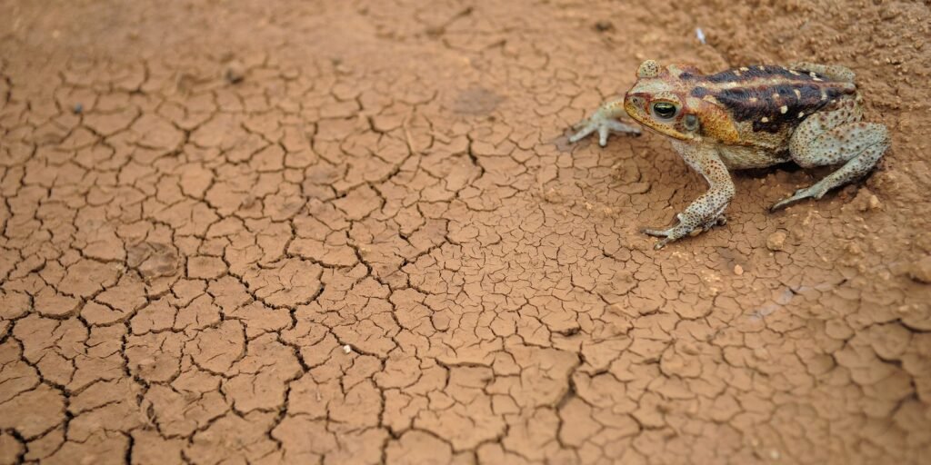 doze-cidades-em-estado-de-emergencia-por-excesso-ou-falta-de-chuva