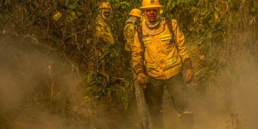 fotografo-da-agencia-brasil-e-destaque-em-premio-internacional