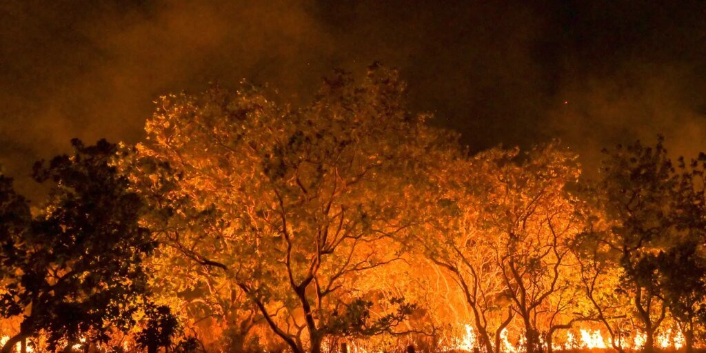 estado-de-sao-paulo-esta-na-semana-de-maior-risco-para-incendios