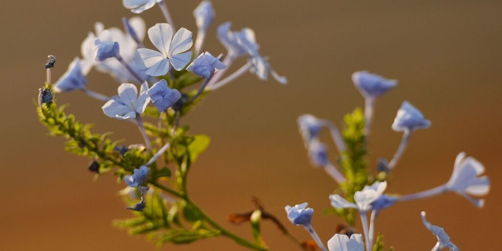 primavera-traz-frente-fria-e-chuva-para-o-sul-do-pais