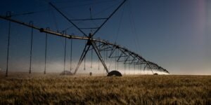 stf-retoma-julgamento-sobre-beneficios-fiscais-para-agrotoxicos