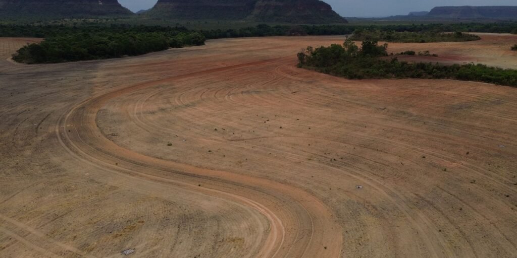 degradacao-do-solo-afeta-1,7-bilhao-de-pessoas-no-mundo