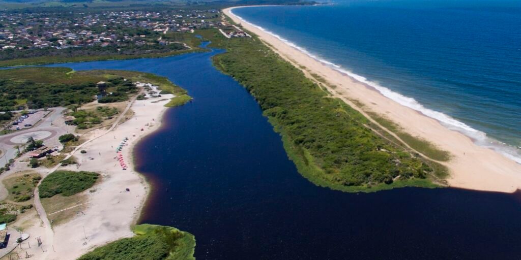 preservacao-da-mata-atlantica-e-destaque-no-summit-agenda-sp-+-verde