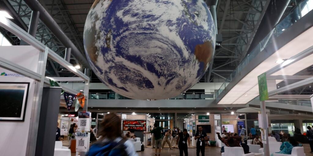 viva-maria-destaca-papel-do-ipe-na-cop-da-biodiversidade