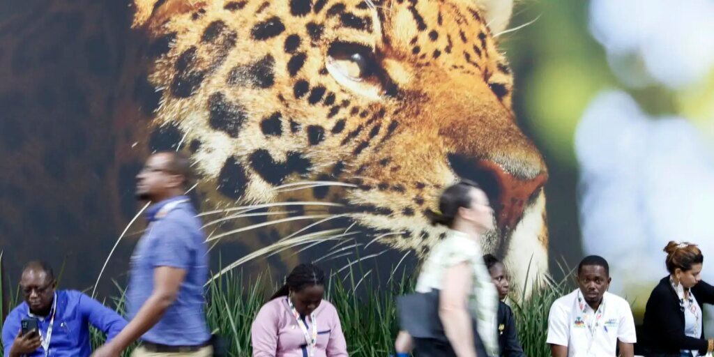 sociedade-civil-critica-rascunho-de-documento-final-da-cop30