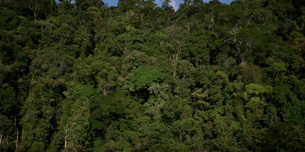 vetos-a-lei-de-licenciamento-ambiental-entram-na-pauta-do-congresso