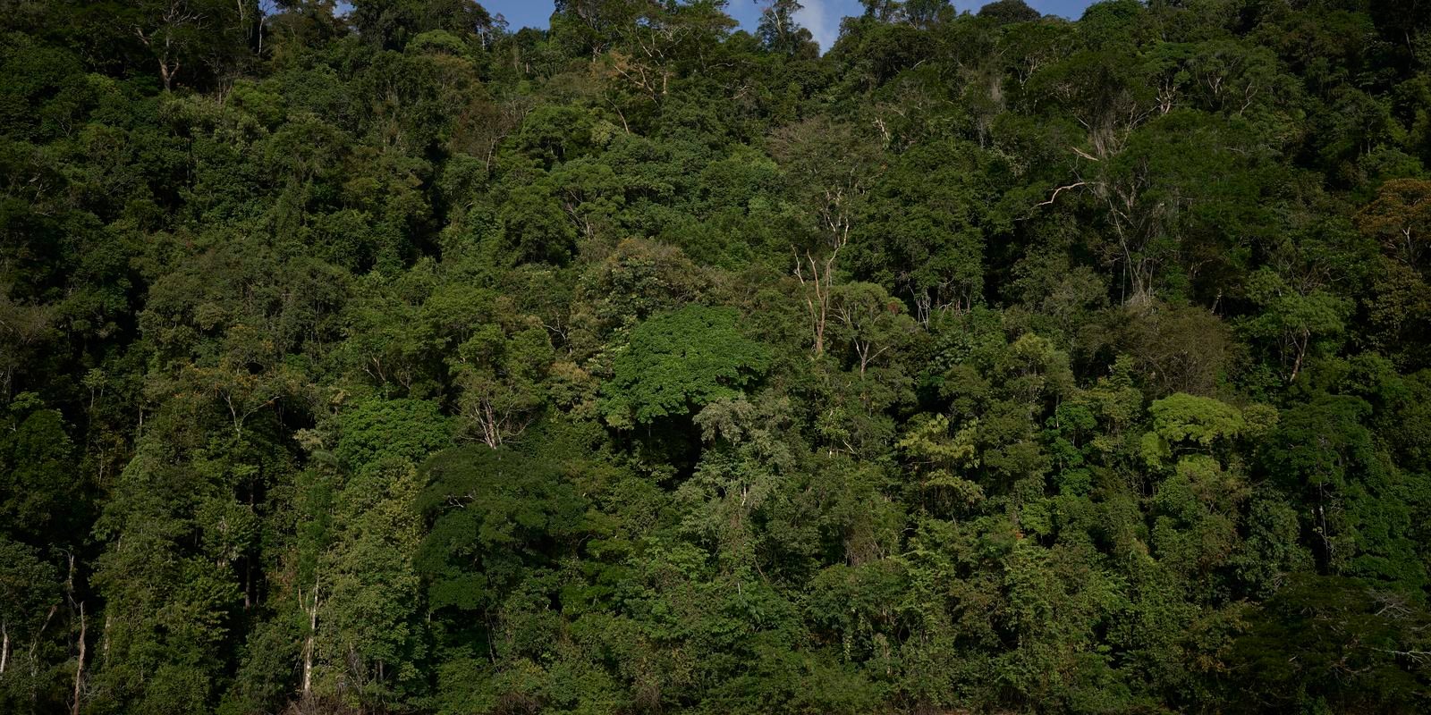 vetos-a-lei-de-licenciamento-ambiental-entram-na-pauta-do-congresso