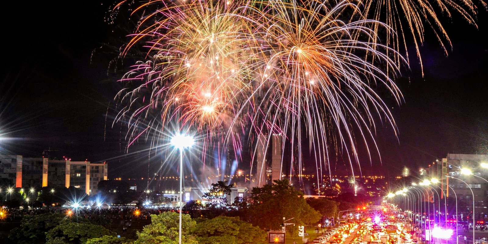 fogos-de-artificios-com-estampido-sao-risco-para-animais-e-pessoas