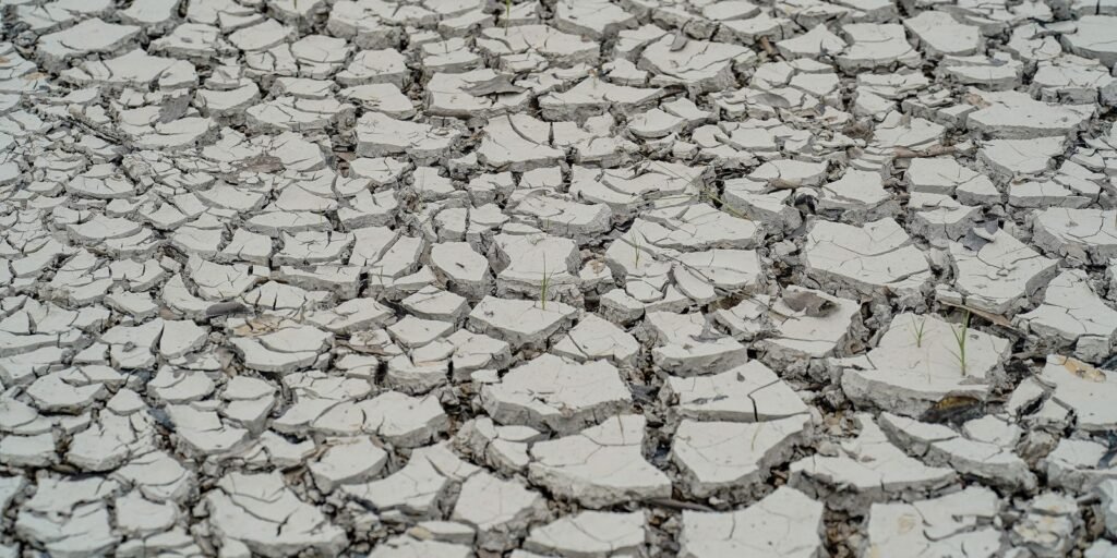 estiagem:-quinze-cidades-tem-situacao-de-emergencia-decretada