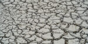 estiagem:-quinze-cidades-tem-situacao-de-emergencia-decretada