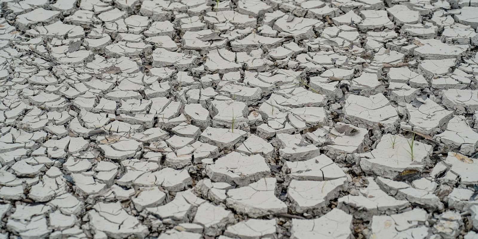 estiagem:-quinze-cidades-tem-situacao-de-emergencia-decretada