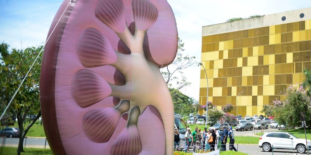 dia-mundial-do-rim:-doencas-renais-sao-silenciosas-e-exigem-atencao