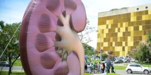 dia-mundial-do-rim:-doencas-renais-sao-silenciosas-e-exigem-atencao