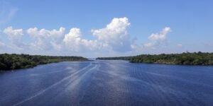 jaraqui-e-reconhecido-como-patrimonio-cultural-imaterial-do-amazonas