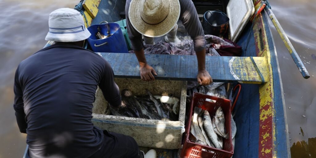 pescadores-beneficiados-pelo-seguro-defeso-recebem-6o-lote-nesta-terca