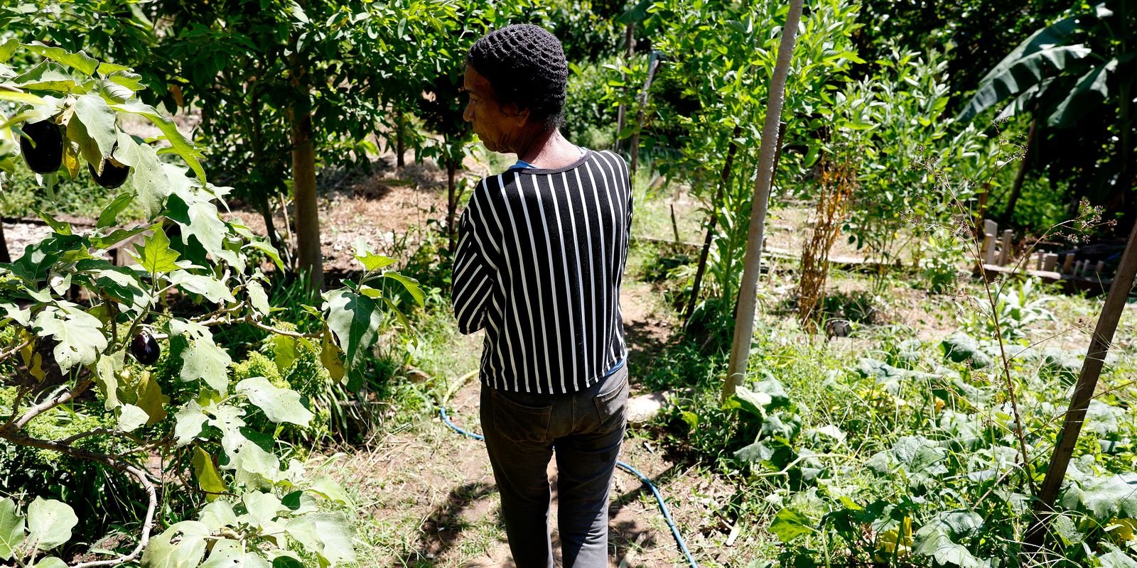 horta-comunitaria-reune-memoria,-cuidado-e-cidadania-em-favela-do-rio