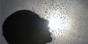 fenomeno-el-nino-deve-atingir-pico-no-fim-do-ano