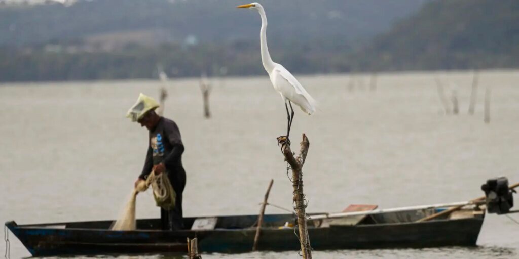 mudancas-aprovadas-para-o-seguro-defeso-previnem-fraudes,-diz-relator