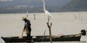 mudancas-aprovadas-para-o-seguro-defeso-previnem-fraudes,-diz-relator