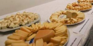 brasil-comeca-a-importar-queijo-mais-barato-apos-acordo-mercosul–ue