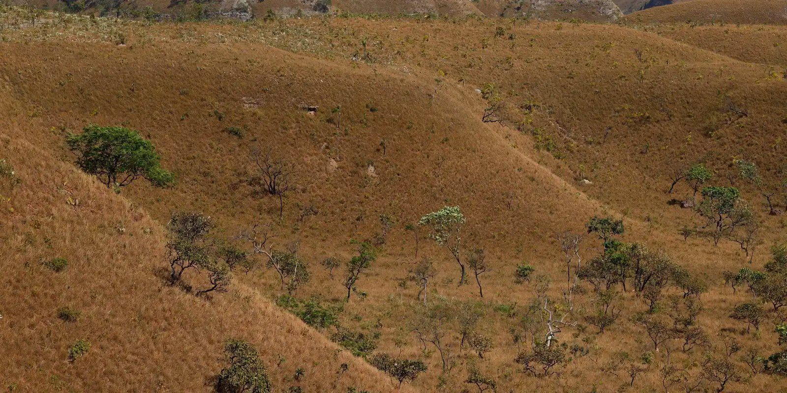 mapbiomas:-fragmentacao-de-areas-naturais-quase-triplicou-em-40-anos