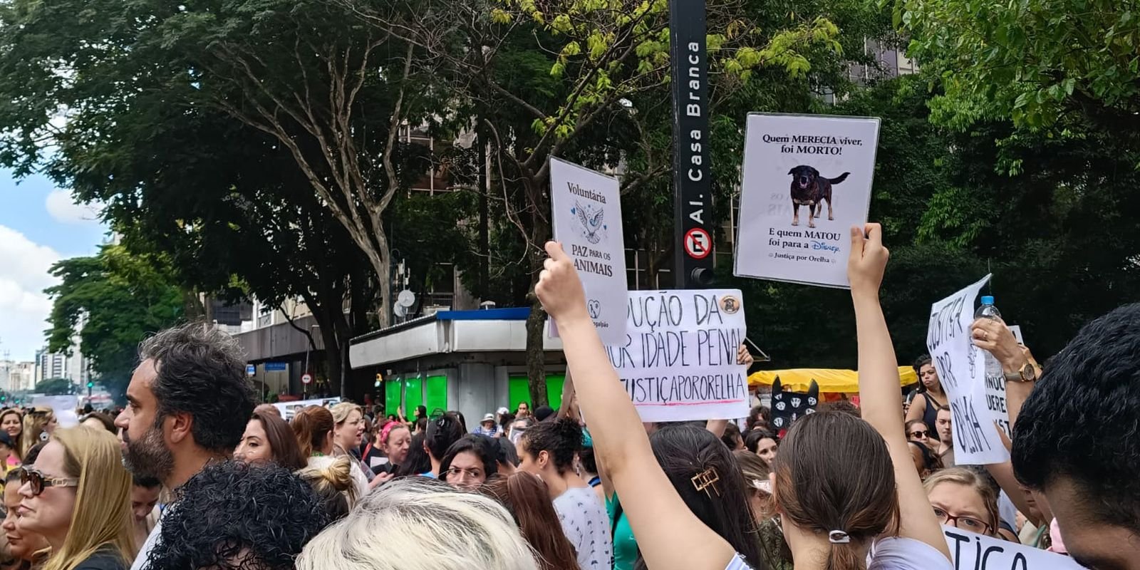 cao-orelha:-justica-arquiva-caso-a-pedido-do-ministerio-publico