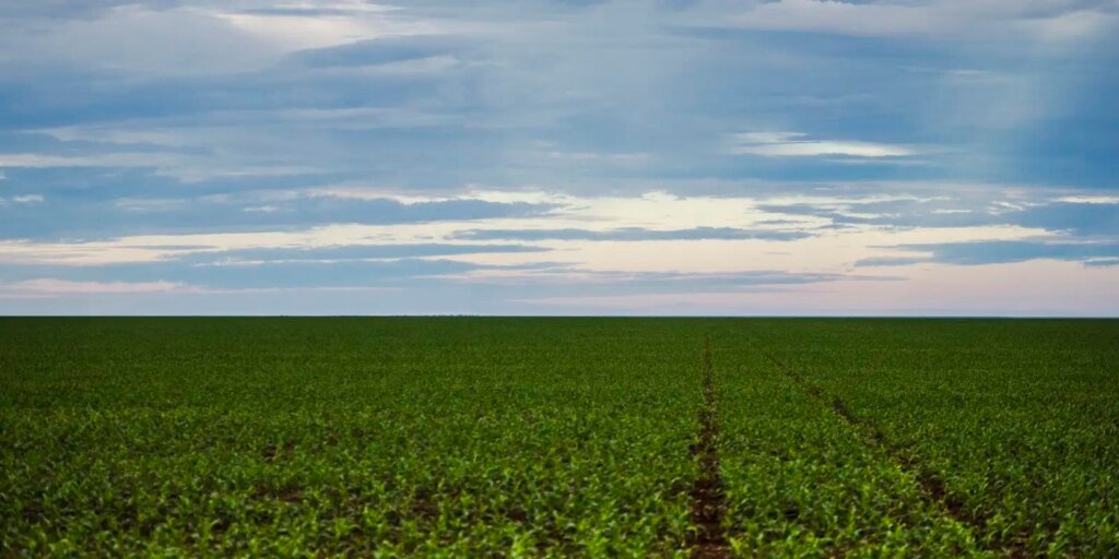 fazenda-estuda-fundo-garantidor-para-dividas-rurais