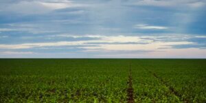 fazenda-estuda-fundo-garantidor-para-dividas-rurais