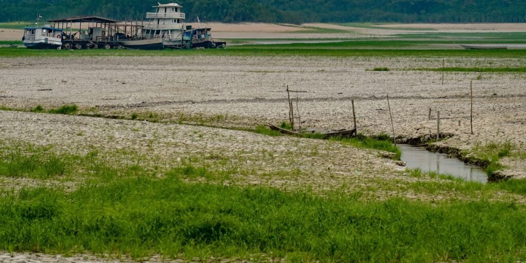 amazonia-apresenta-sinais-de-adaptacao-as-mudancas-climaticas