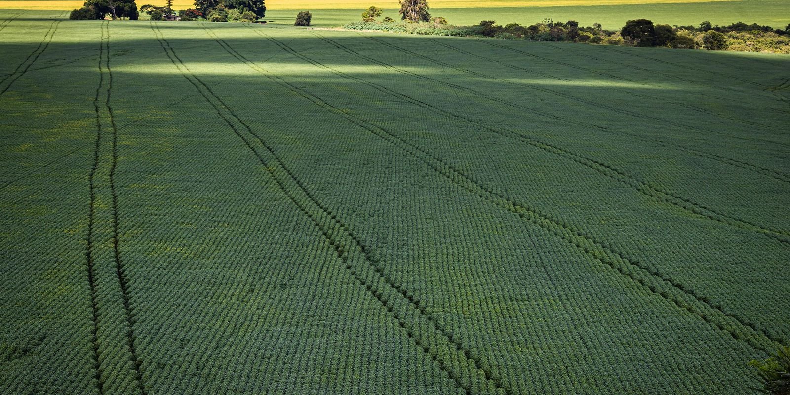 senado-aprova-plano-para-fabricacao-de-fertilizantes-no-brasil