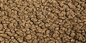 el nino:-entenda-o-fenomeno-que-intensifica-os-fenomenos-climaticos